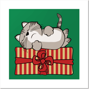 Cat on Gift Package Posters and Art